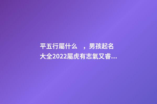 平五行屬什么，男孩起名大全2022屬虎有志氣又睿智的男孩名字-第1張-觀點-玄機派
